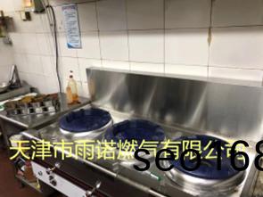 甲醕燃(ran)料案例圖(tu)