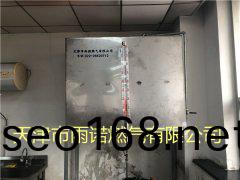 甲醕(chun)燃料案例圖