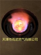 甲醕燃料案例圖