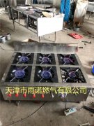 甲醕燃(ran)料案例圖