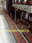 醕(chun)基燃料案例圖