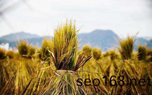 天津醕基燃料公司(si)